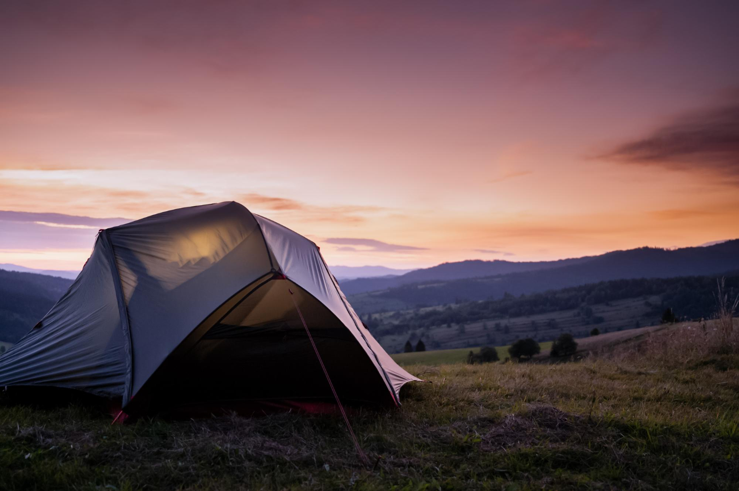 Camping Alfarera Fest
